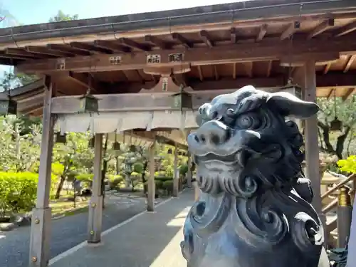 大井神社の狛犬