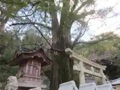 朝護孫子寺(奈良県)