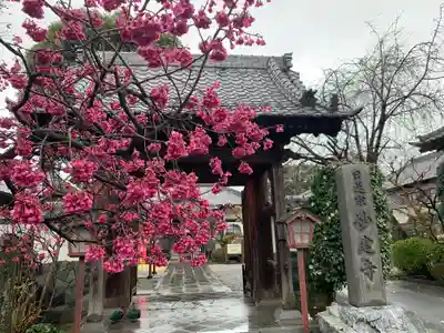 妙建寺の山門・神門