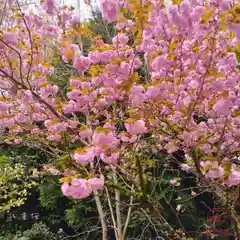 立志神社(滋賀県)