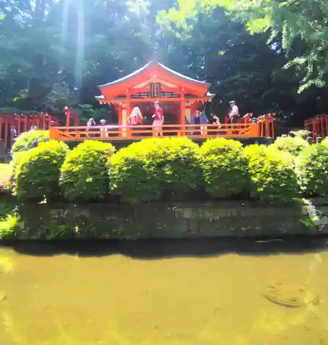 乙女稲荷神社の{uncategorized: "未分類", other: "その他", undefined: "問題あり", building: "その他建物", grave: "お墓", sacred_gate: "鳥居", guardian: "狛犬", statue: "像", buddha: "仏像", history: "歴史", nature: "自然", garden: "庭園", animal: "動物", pagoda: "塔", temizu: "手水舎", mountain_gate: "山門・神門", sanctuary: "本殿・本堂", subordinate: "末社・摂社", art: "芸術", scenery: "景色", jizo: "地蔵", ema: "絵馬", goshuin: "御朱印", omikuji: "おみくじ", items: "授与品その他", amulet: "お守り", goshuincho: "御朱印帳", eats: "食事", festival: "お祭り", votive_dance: "神楽", shichigosan: "七五三参", wedding: "結婚式", experience: "体験その他", initially: "初詣", around: "周辺", anti_infection: "感染症対策"}