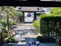 本覚寺の山門・神門