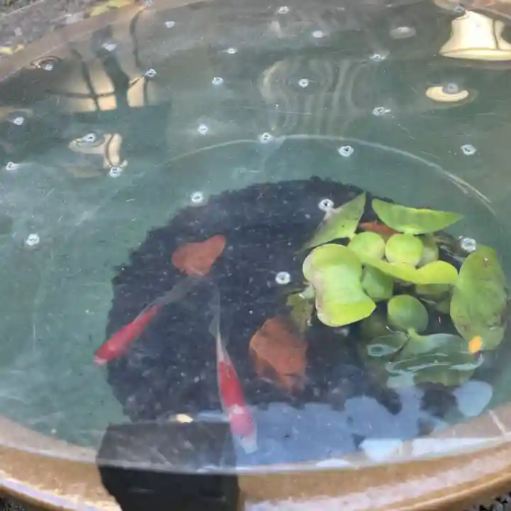 日本橋日枝神社(東京都)