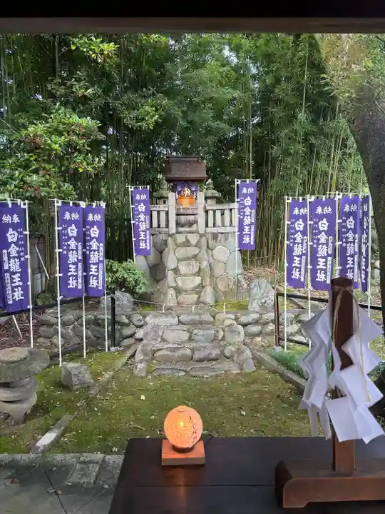 白金龍王社(愛知県)