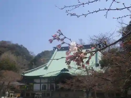 光明寺のその他建物