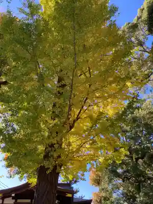 中目黒八幡神社(東京都)