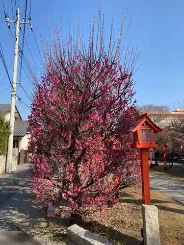 朝日森天満宮の庭園