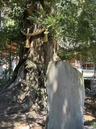 瀬戸神社(神奈川県)