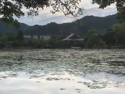 大覚寺(京都府)