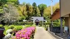 伊能子育て観音 円応寺(千葉県)