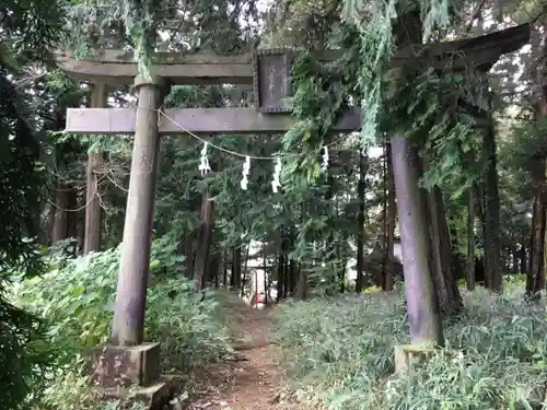 大国神社の鳥居