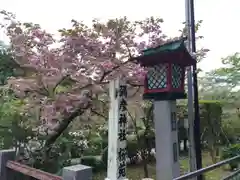 彌彦神社の自然