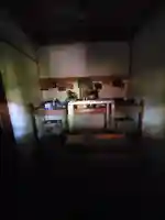 生目神社(栃木県)