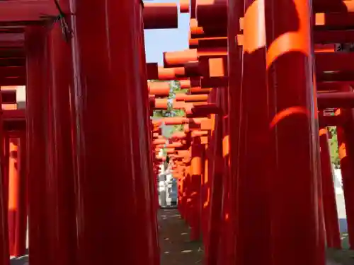 小泉稲荷神社の鳥居