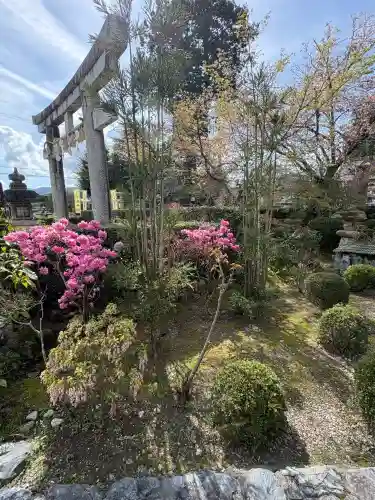 神田神社の{uncategorized: "未分類", other: "その他", undefined: "問題あり", building: "その他建物", grave: "お墓", sacred_gate: "鳥居", guardian: "狛犬", statue: "像", buddha: "仏像", history: "歴史", nature: "自然", garden: "庭園", animal: "動物", pagoda: "塔", temizu: "手水舎", mountain_gate: "山門・神門", sanctuary: "本殿・本堂", subordinate: "末社・摂社", art: "芸術", scenery: "景色", jizo: "地蔵", ema: "絵馬", goshuin: "御朱印", omikuji: "おみくじ", items: "授与品その他", amulet: "お守り", goshuincho: "御朱印帳", eats: "食事", festival: "お祭り", votive_dance: "神楽", shichigosan: "七五三参", wedding: "結婚式", experience: "体験その他", initially: "初詣", around: "周辺", anti_infection: "感染症対策"}