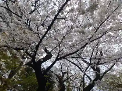 厳浄院(東京都)