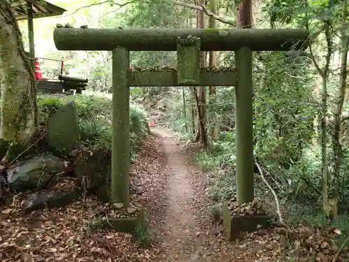 窟神社の鳥居