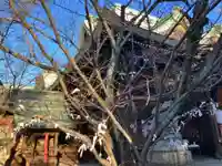 天孫神社(滋賀県)