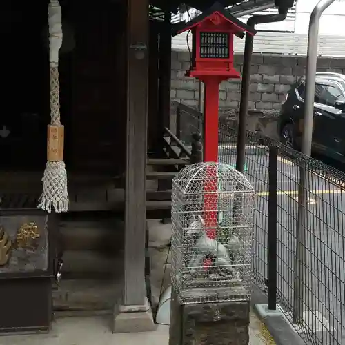 雷電稲荷神社の狛犬