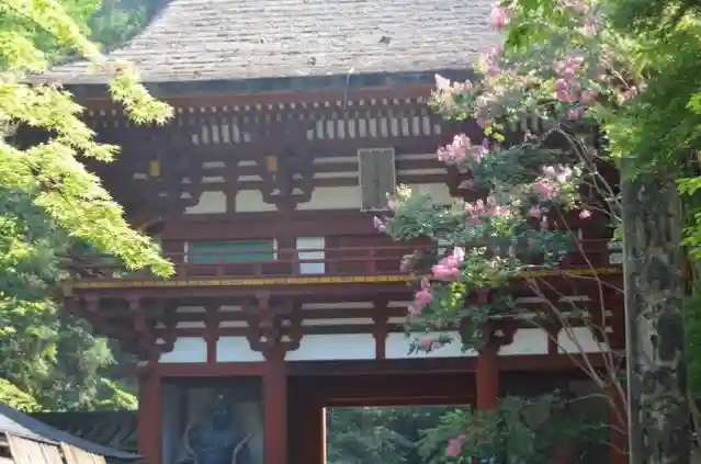 室生寺の山門・神門