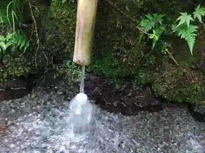 富士山本宮浅間大社(静岡県)