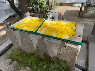 片埜神社(大阪府)