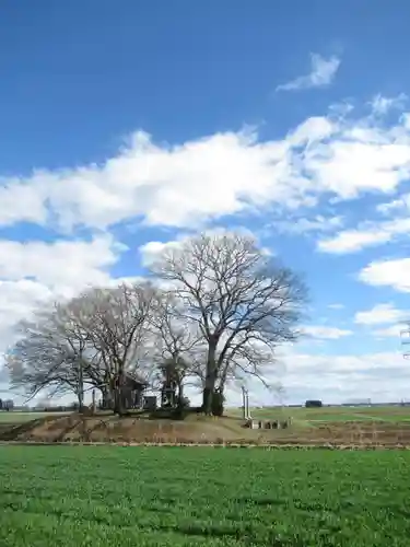 神明神社(千葉県)