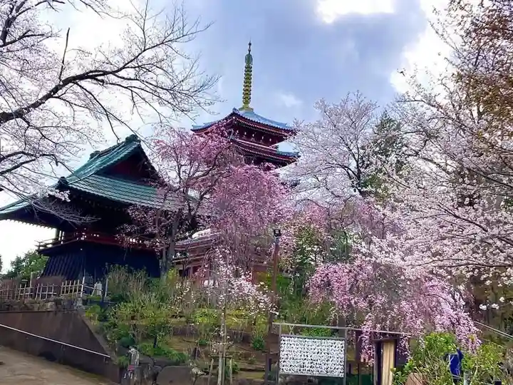 本土寺(千葉県)