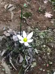 木舟山　順教寺の自然