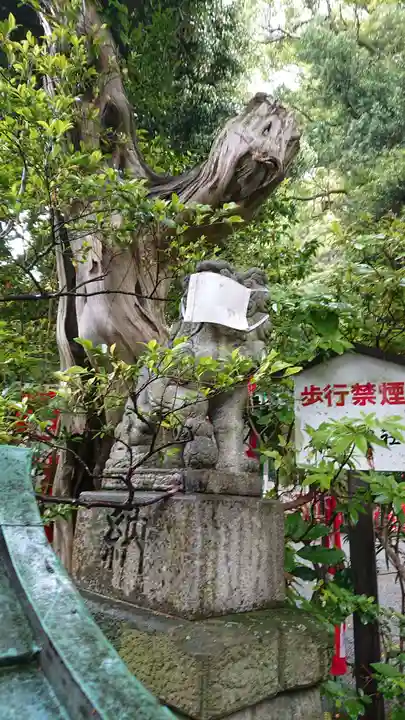 八雲神社(鎌倉・大町)の狛犬