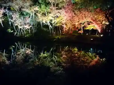 高台寺（高台寿聖禅寺・高臺寺）(京都府)