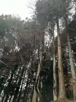 大宮温泉神社(栃木県)