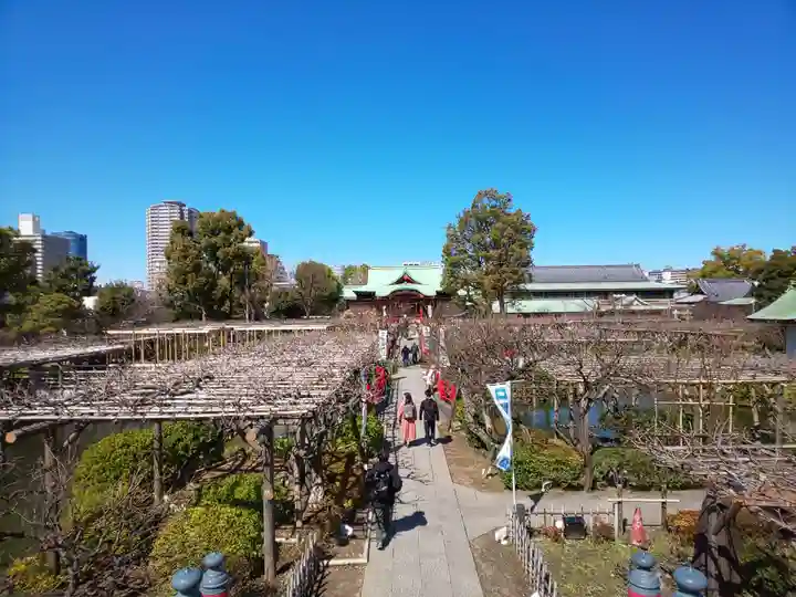 亀戸天神社の庭園