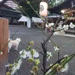 尾張大國霊神社（国府宮）の自然