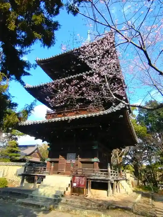 道成寺の{uncategorized: "未分類", other: "その他", undefined: "問題あり", building: "その他建物", grave: "お墓", sacred_gate: "鳥居", guardian: "狛犬", statue: "像", buddha: "仏像", history: "歴史", nature: "自然", garden: "庭園", animal: "動物", pagoda: "塔", temizu: "手水舎", mountain_gate: "山門・神門", sanctuary: "本殿・本堂", subordinate: "末社・摂社", art: "芸術", scenery: "景色", jizo: "地蔵", ema: "絵馬", goshuin: "御朱印", omikuji: "おみくじ", items: "授与品その他", amulet: "お守り", goshuincho: "御朱印帳", eats: "食事", festival: "お祭り", votive_dance: "神楽", shichigosan: "七五三参", wedding: "結婚式", experience: "体験その他", initially: "初詣", around: "周辺", anti_infection: "感染症対策"}
