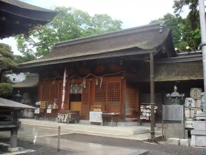 長浜八幡宮の本殿・本堂