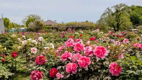 金蛇水神社(宮城県)