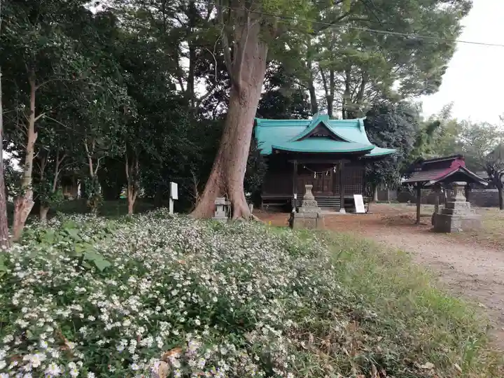 酒門神社の自然