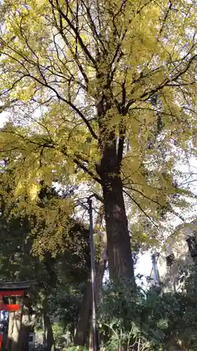 淨眞寺(東京都)