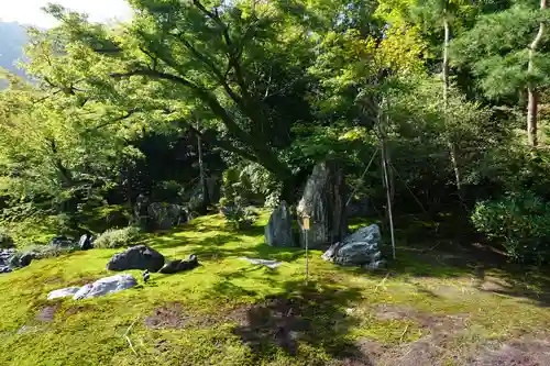 宝厳院の庭園