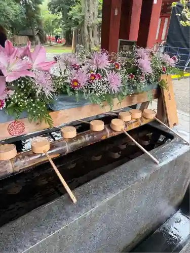 武蔵一宮氷川神社(埼玉県)