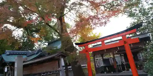 猿田彦神社の自然
