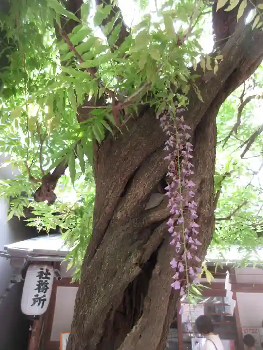 國領神社(東京都)