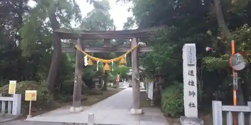 進雄神社の鳥居