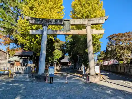 豊川進雄神社の鳥居