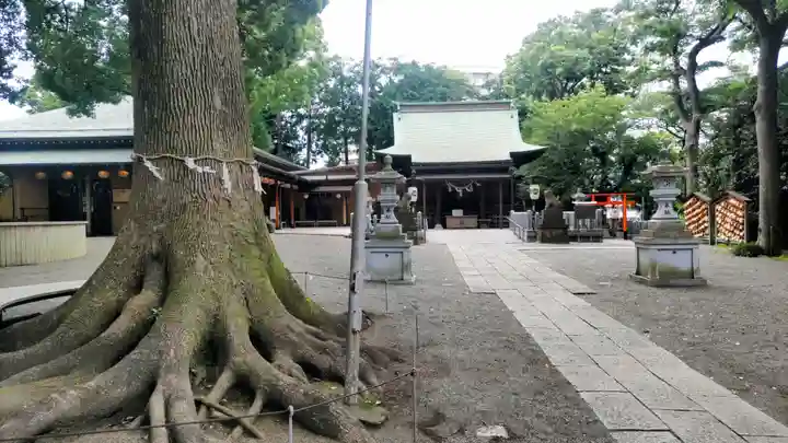 星川杉山神社(神奈川県)