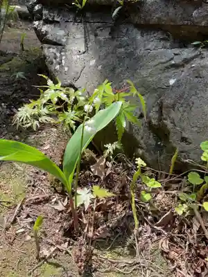 常照院（曼陀羅寺塔頭）(愛知県)