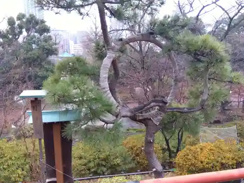 清水観音堂の自然