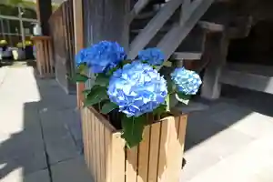 根岸八幡神社(神奈川県)(2024年04月27日(土) 17時38分38秒投稿)