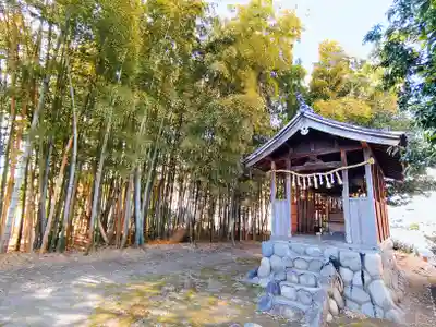 津島社（三ツ井）の本殿・本堂